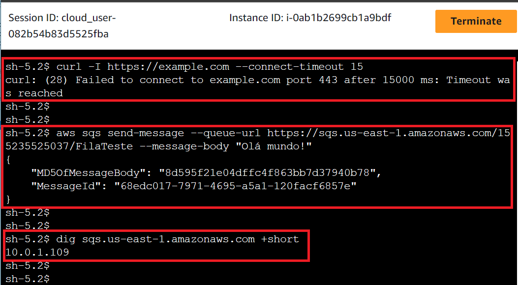 Imagem do terminal da instância EC2 aberto no browser pelo Session Manager com o resultado de sucesso dos comandos