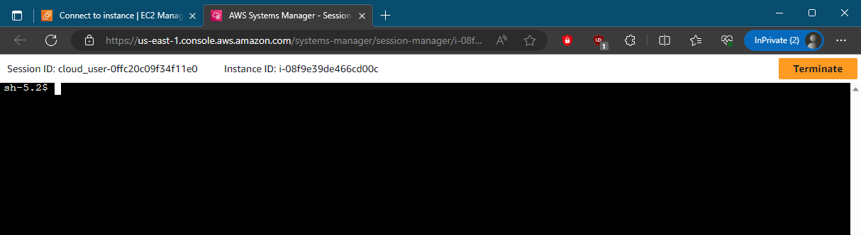 Imagem do terminal da instância EC2 aberto no browser pelo Session Manager
