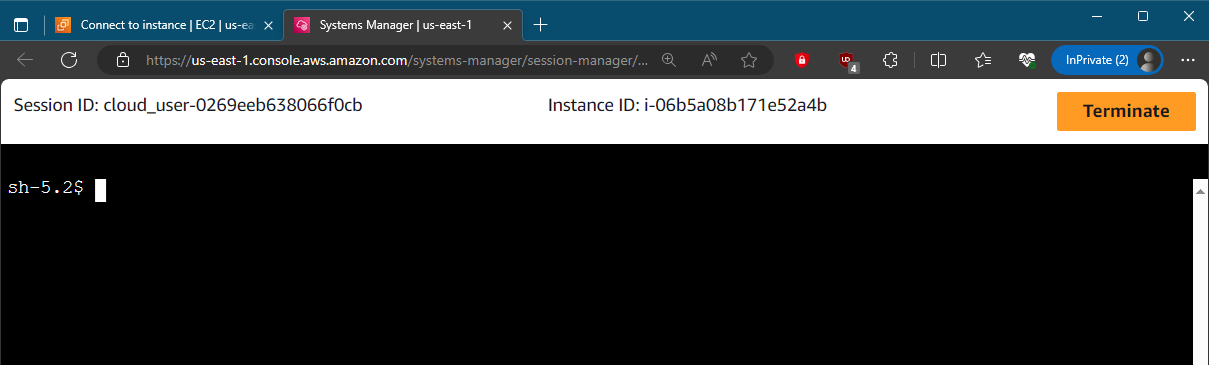 Imagem do terminal da instância EC2 aberto no browser pelo Session Manager
